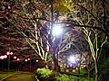 Harima central-park night view