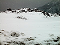 阿蘇登山道路・厳冬の風景