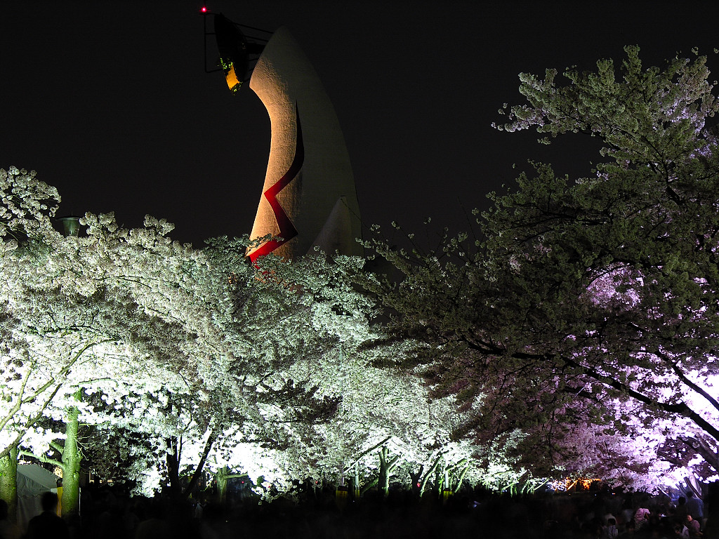 A solar tower and nocturnal view of cherry blossoms