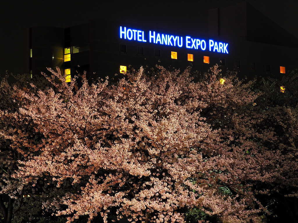Hotel Hankyu and a cherry tree