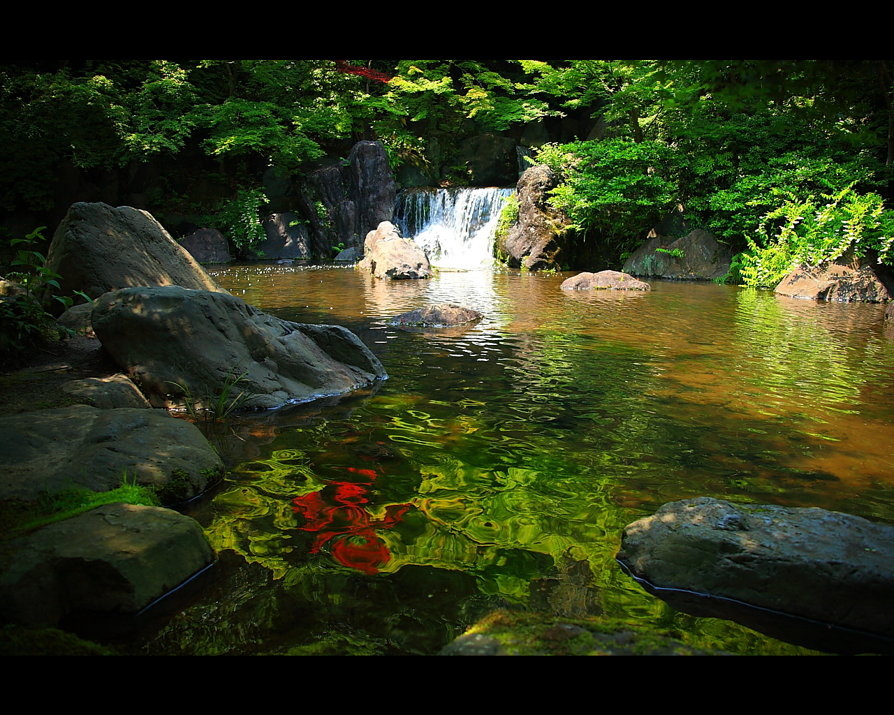 万博日本庭園のもみじの滝1280x1024サイズ