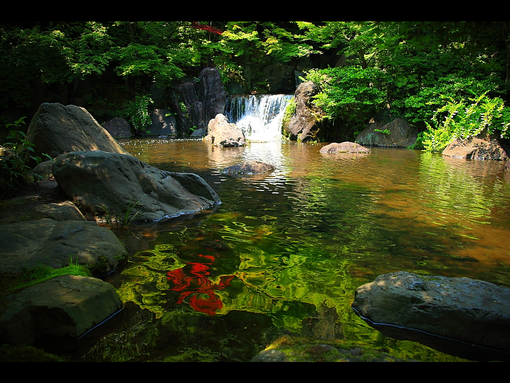 万博日本庭園のもみじの滝