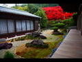 本堂縁側から日本庭園