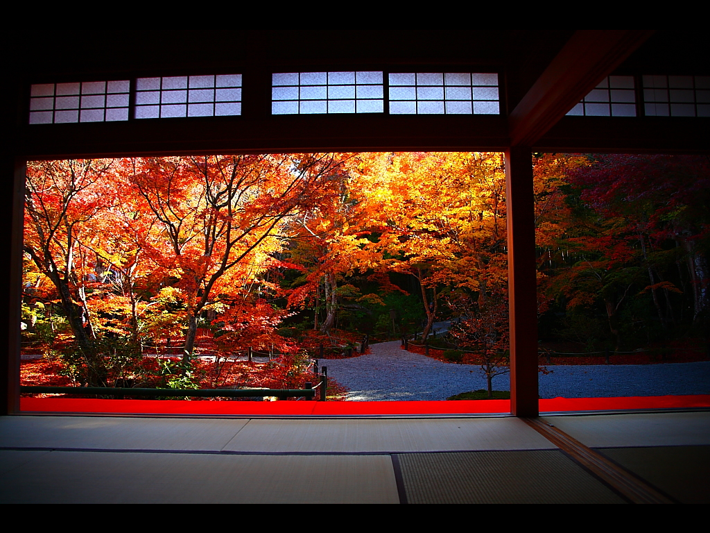 圓光寺 紅葉 秋の京都旅行情報 美しい紅葉の名所とライトアップの動画 画像 壁紙にも Naver まとめ