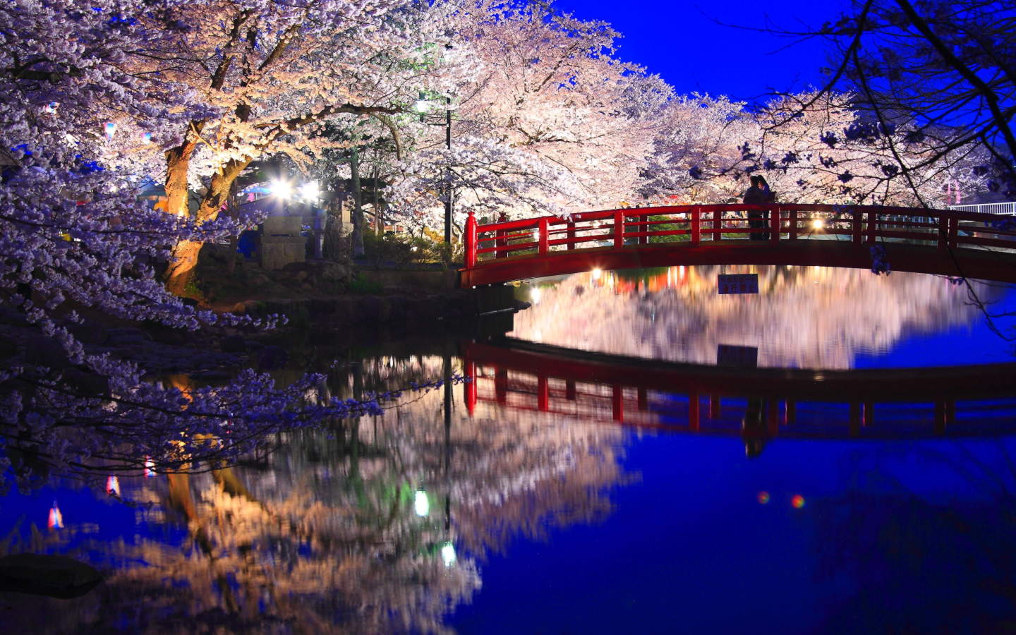 臥竜公園 夜桜 壁紙 Pc 1440x900 夜景 きれいな夜景の壁紙 Naver まとめ