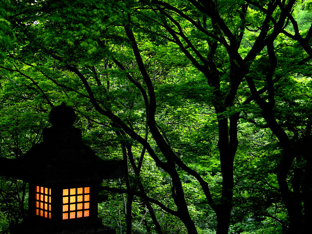 灯篭と新緑　左クリックで長谷寺へ右クリック背景に設定で壁紙へ
