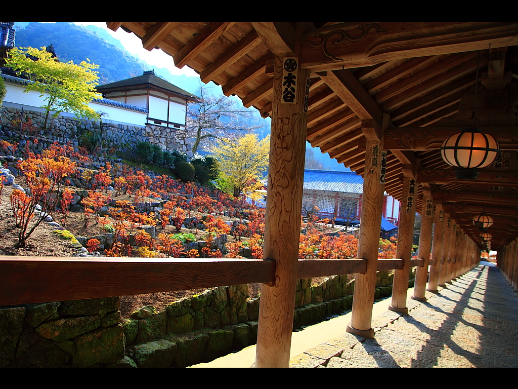 朝日の差し込む登廊　左クリックで長谷寺 桜へ右クリック背景に設定で壁紙へ