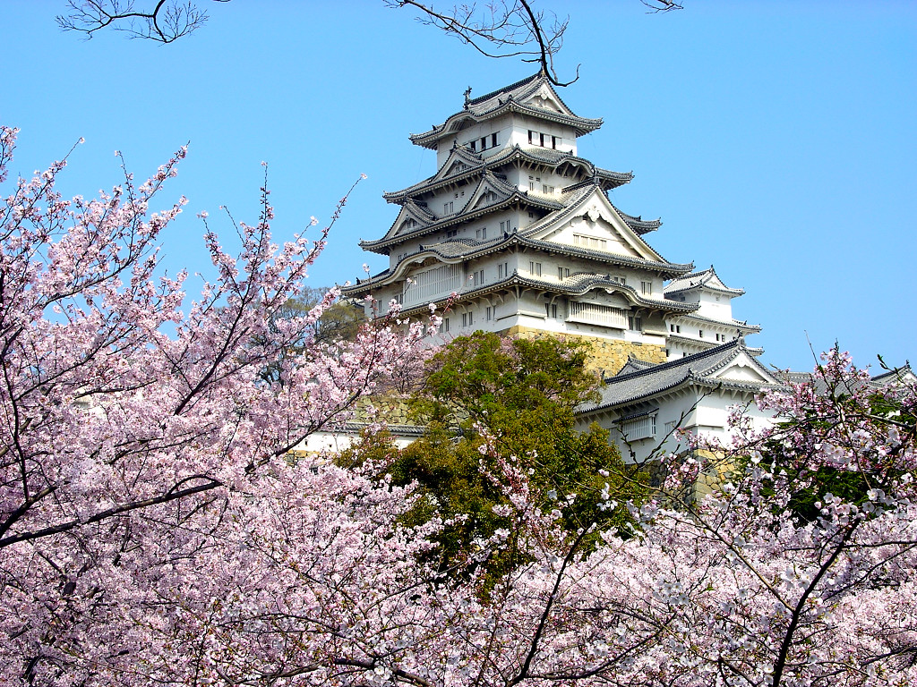姫路城と桜 壁紙 世界が感動 美しすぎる 日本の 厳選 ５００景 Naver まとめ