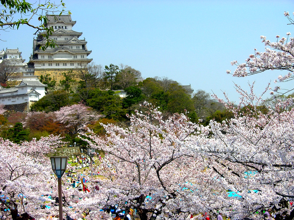 三の丸広場 お花見の人々と姫路城