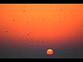 明石海峡の日の出