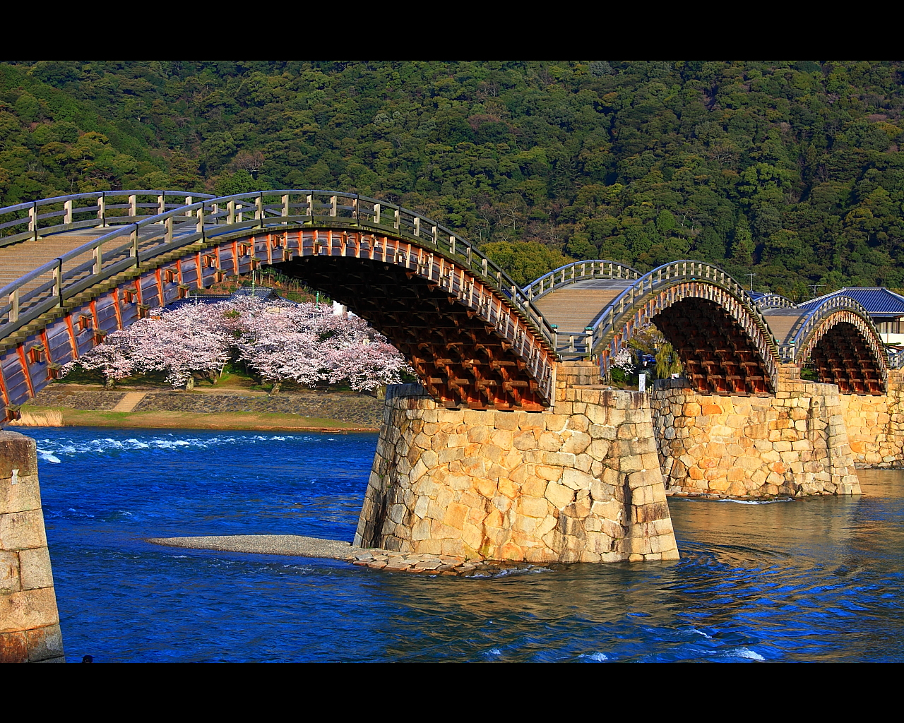 錦帯橋と桜1280x1024サイズ　左クリックで錦帯橋 桜へ右クリック背景に設定で壁紙へ