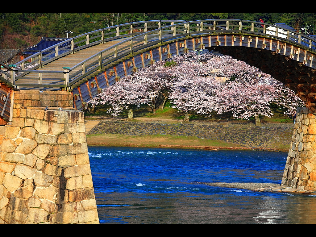 錦帯橋のアーチと満開の桜　左クリックで錦帯橋 桜へ右クリック背景に設定で壁紙へ
