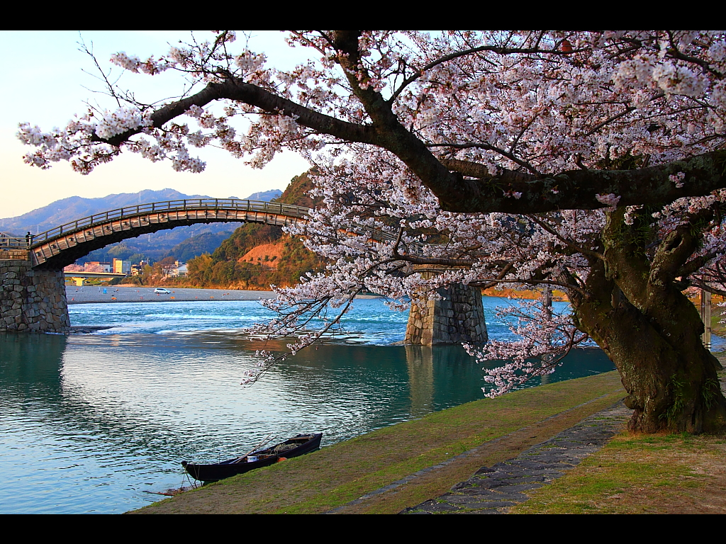 錦帯橋と鵜飼の船　左クリックで錦帯橋 桜へ右クリック背景に設定で壁紙へ