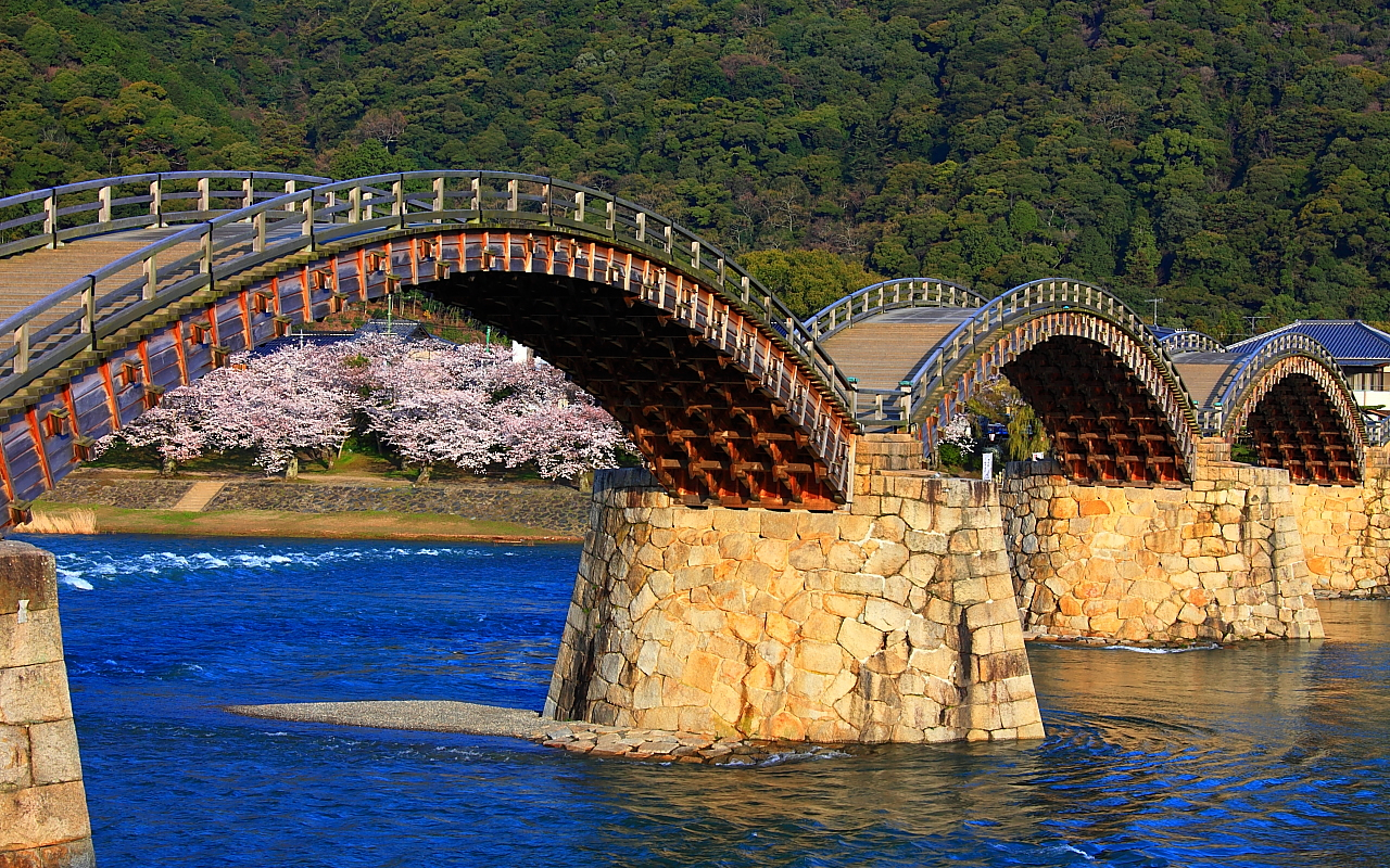 錦帯橋と桜1280x800サイズ　左クリックで錦帯橋 桜へ右クリック背景に設定で壁紙へ