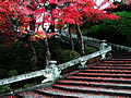 The approach to Kiyomizu-dera