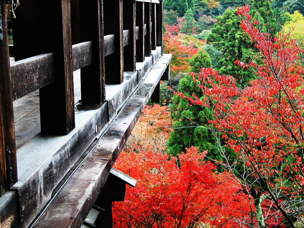 Stage of the Kiyomizu temple