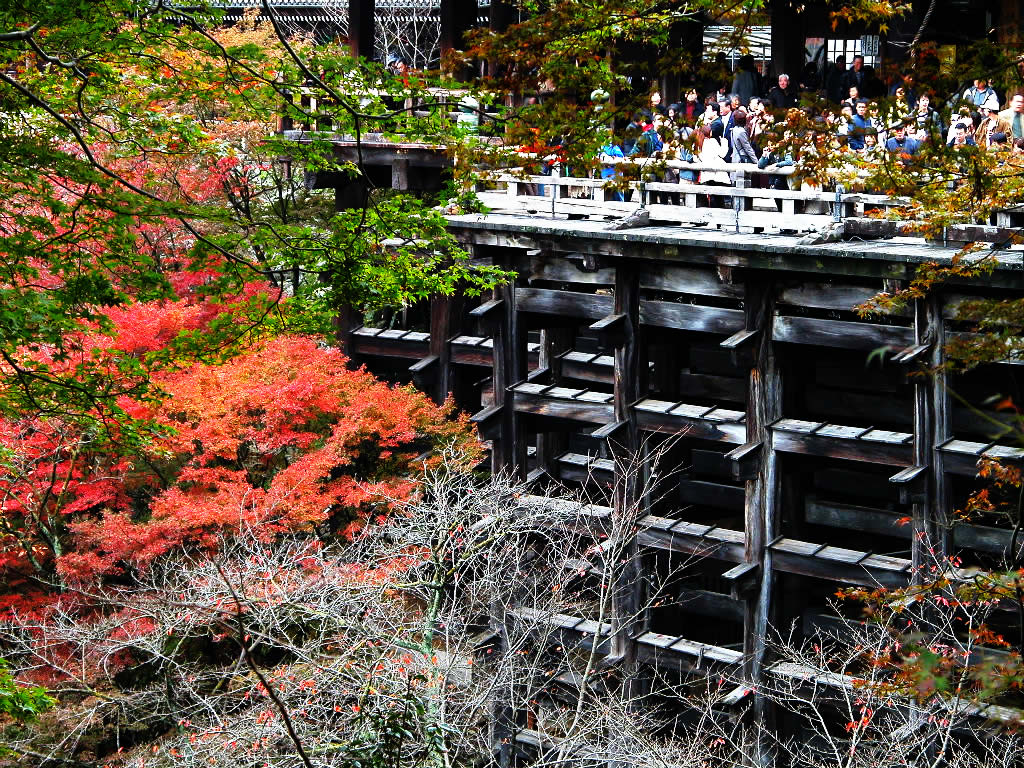 The framework of the stage of the Kiyomizu temple