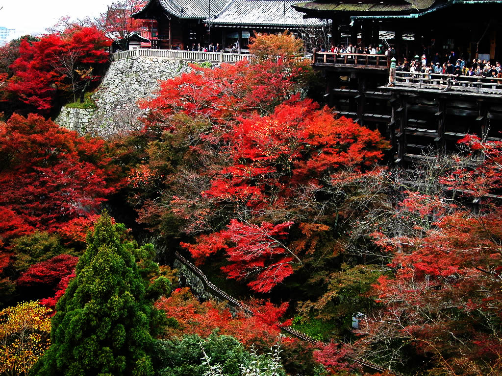 The autumnal leaves of Kiyomizu-dera