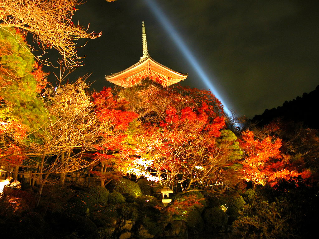 関西 近畿地区 ライトアップされる綺麗な紅葉の名所 Naver まとめ