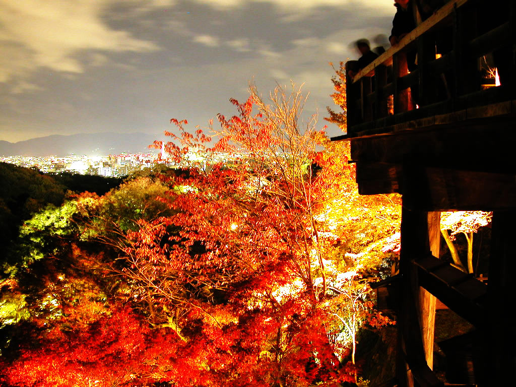 The Kyoto night view seen from the Amitabha hall width