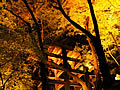 Lighting of the stage of the Kiyomizu temple