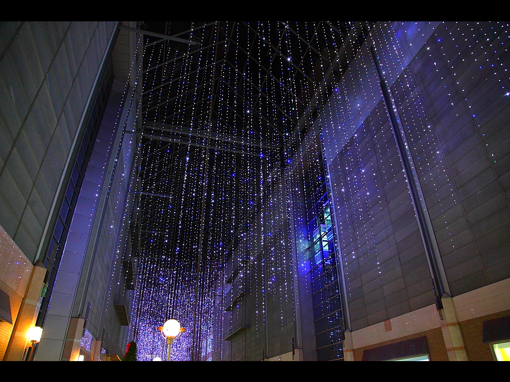 キャナルガーデンスターライトミルキーウェイ　左クリックで神戸クリスマス夜景2010へ右クリック背景に設定で壁紙へ