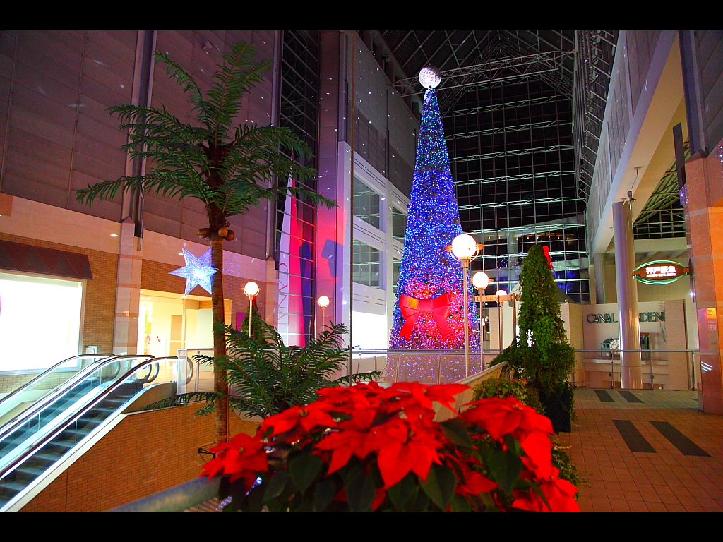 キャナルガーデンクリスマスツリーとポインセチア　左クリックで神戸クリスマス夜景2010へ右クリック背景に設定で壁紙へ