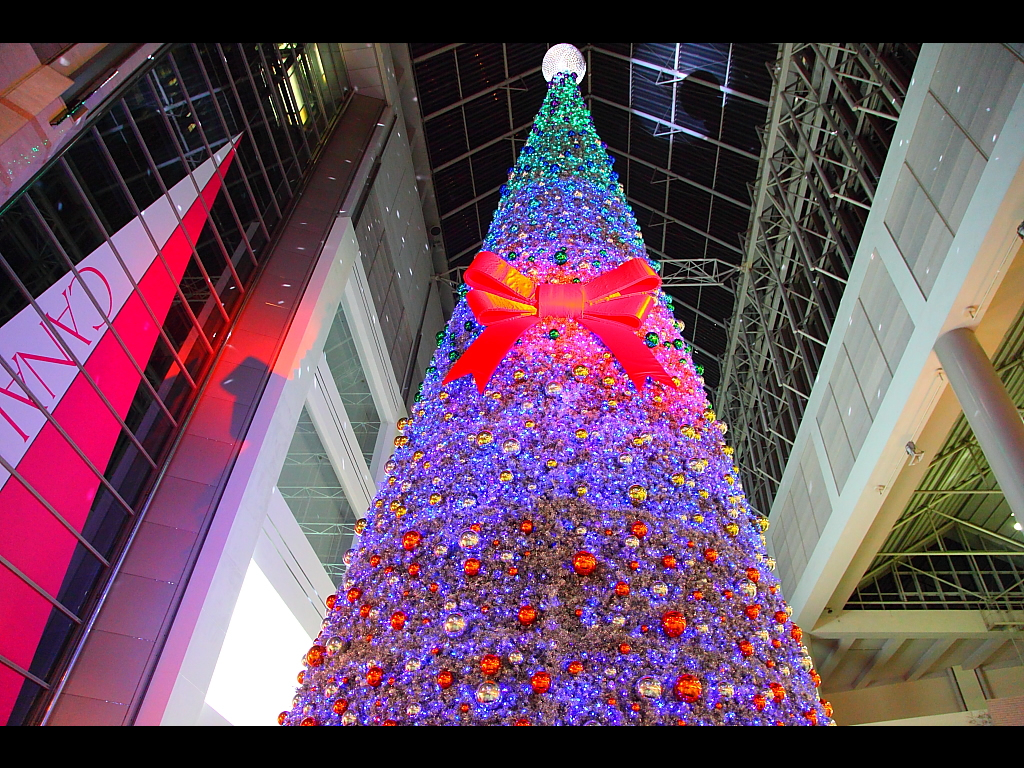 高さ21.5mキャナルガーデンクリスマスツリー　左クリックで神戸クリスマス夜景2010へ右クリック背景に設定で壁紙へ