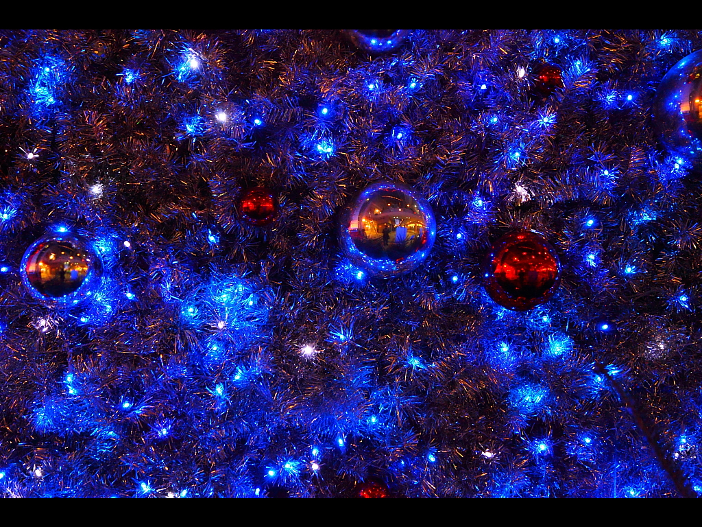 ツリーのブルーのLEDイルミネーション　左クリックで神戸クリスマス夜景2010へ右クリック背景に設定で壁紙へ