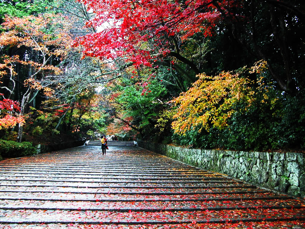壁紙 いいなぁ と思う 京都の画像集 きれい 壁紙 いいなぁ と思う 京都の画像集 きれい Naver まとめ