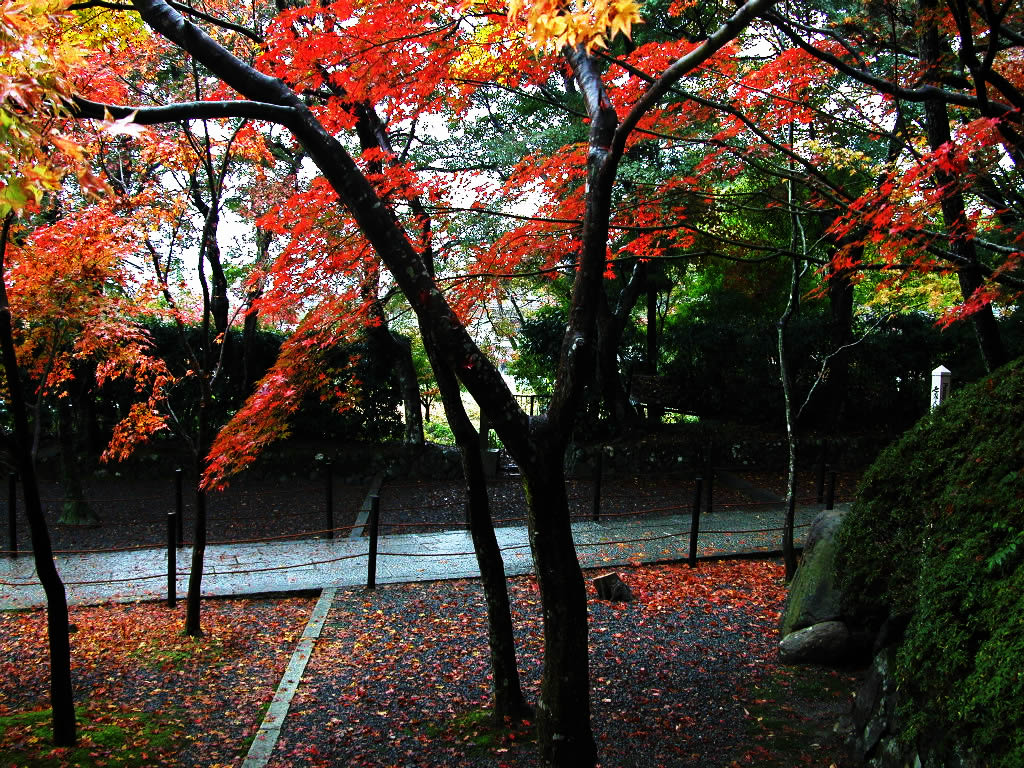 Kyoto Komyo-ji