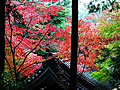 Komyo-ji Best time to see of autumnal leaves