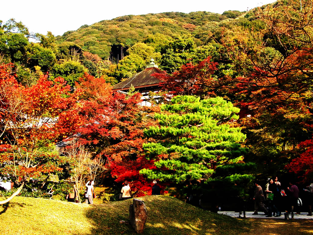 The autumnal leaves of the Kodai-ji garden