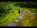 苔むす光悦寺の庭園