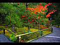 光悦寺の庭園風景