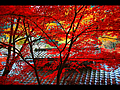 香嵐渓の紅葉風景