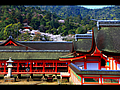 客神社の建物と桜