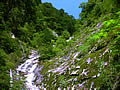 面河渓　布引の滝