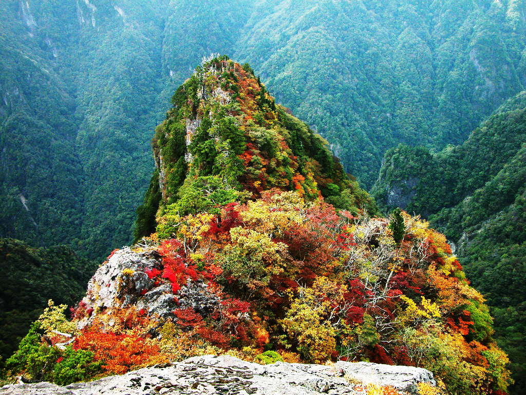The autumnal leaves of Daijyagura
