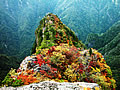 The autumnal leaves of Daijyagura