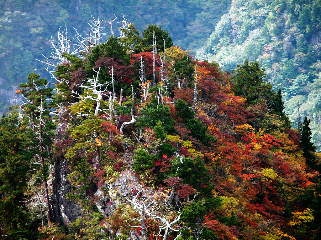 The autumnal leaves seen from Daijyagura