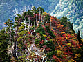 The autumnal leaves seen from Daijyagura