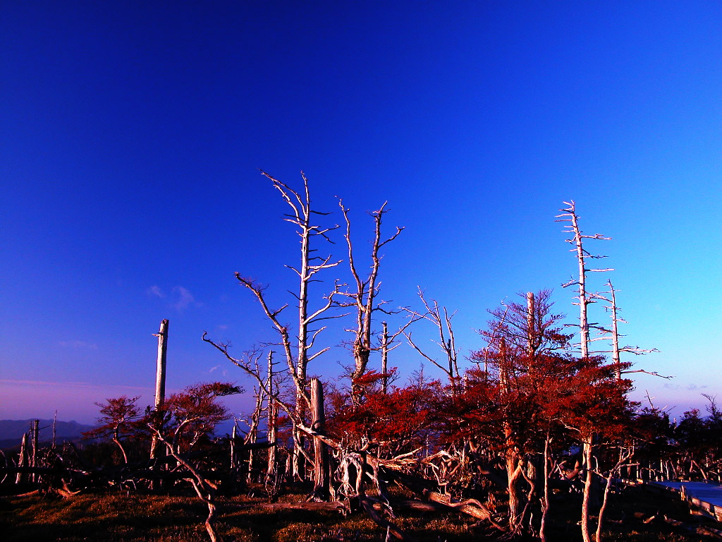 The autumnal leaves and blue sky of the Masaki peak