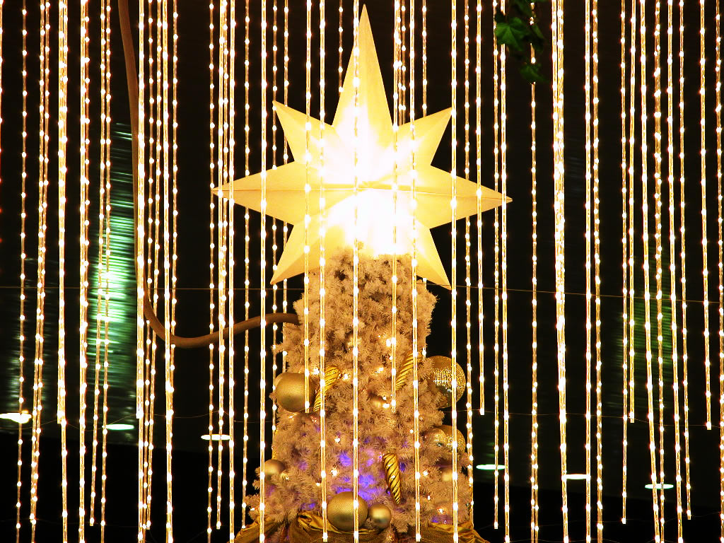 The star of a Christmas tree