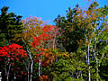 The autumnal leaves of the Koya Ryujin skyline