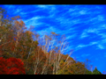 高原近くの紅葉と雲
