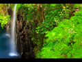 美しい新緑と真名井の滝