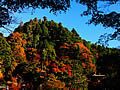 Famous place of the leading autumnal leaves in Nara