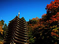 They are a tower and autumnal leaves 13-fold