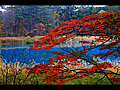 弁天沼の青い水面と紅葉